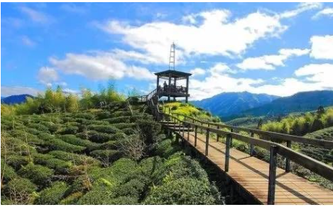 炉霍县俄色茶文旅生态休闲体验区建设项目